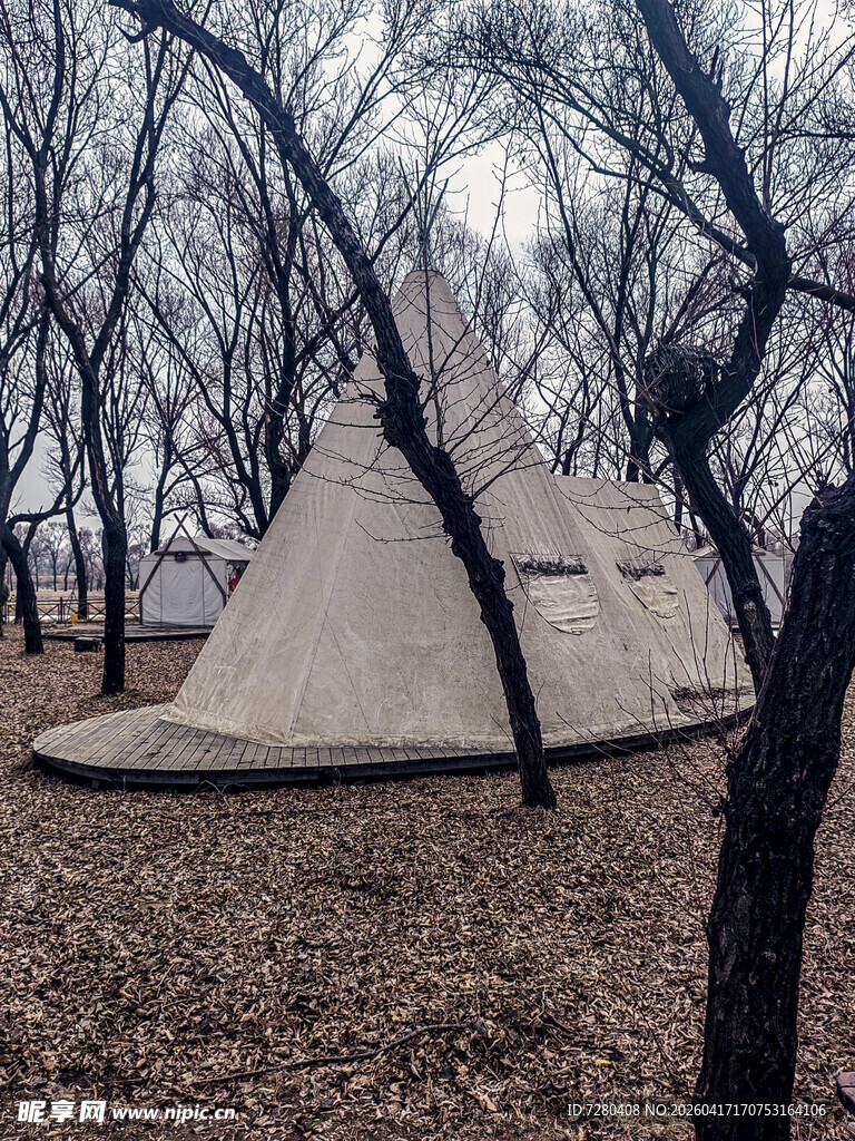 冬日树林中的锥形帐篷