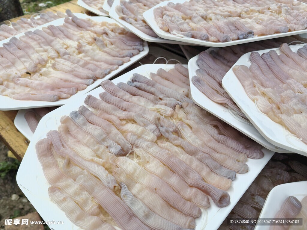 湛江美食沙虫