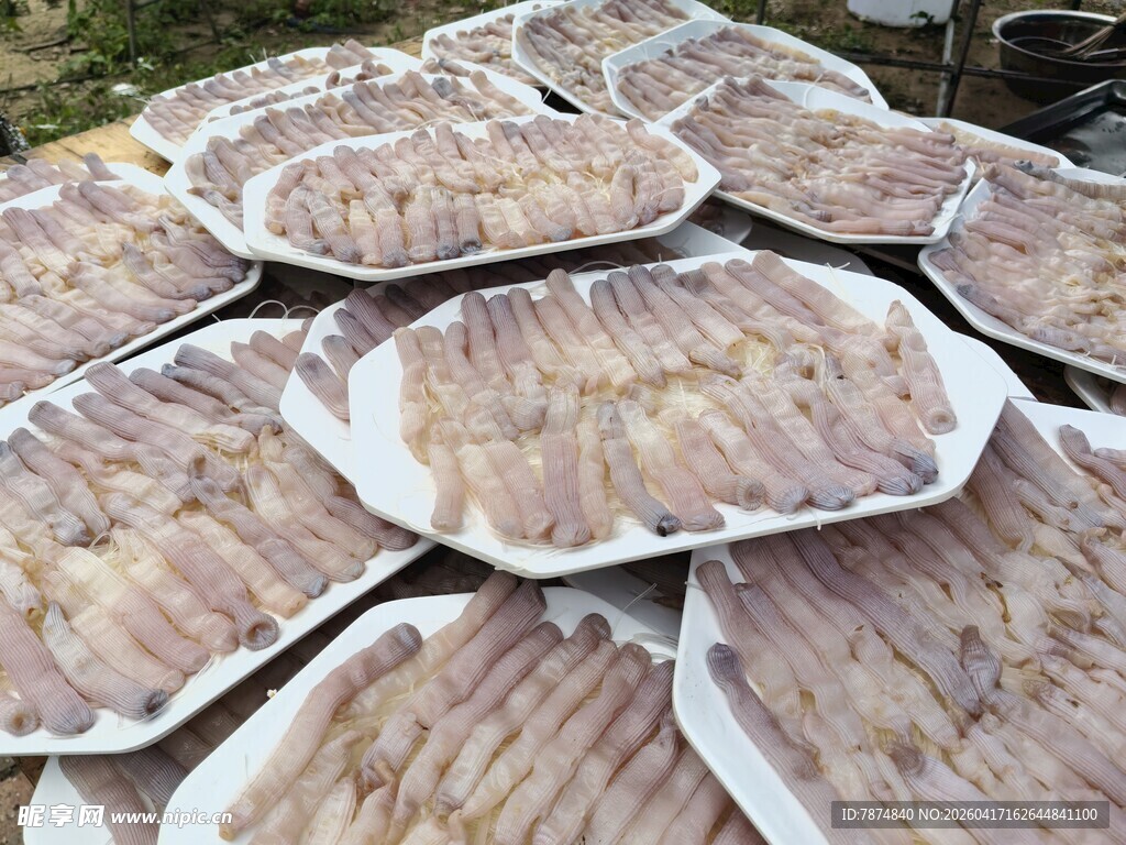 湛江美食沙虫