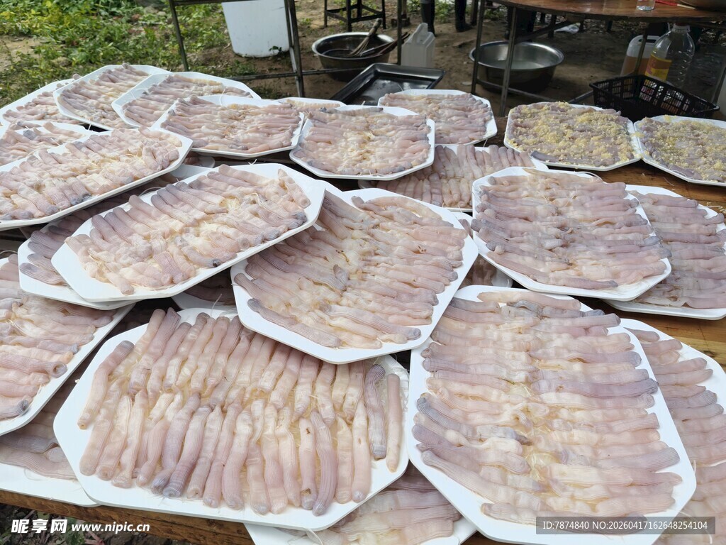 湛江美食沙虫