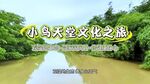 小鸟天堂文化之旅景