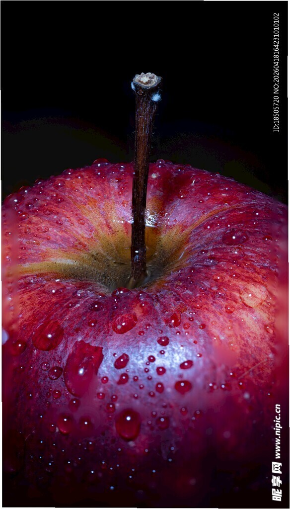 带水珠的红苹果