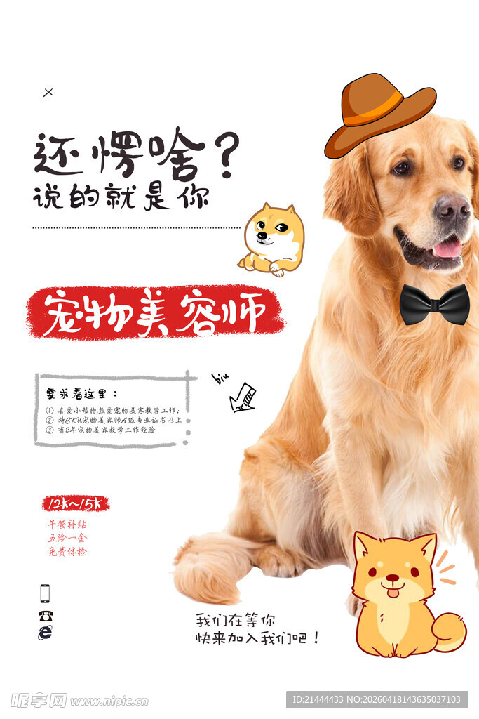 招聘宠物美容师