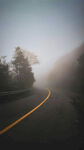 雾中蜿蜒公路