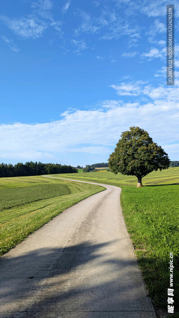 乡间小路
