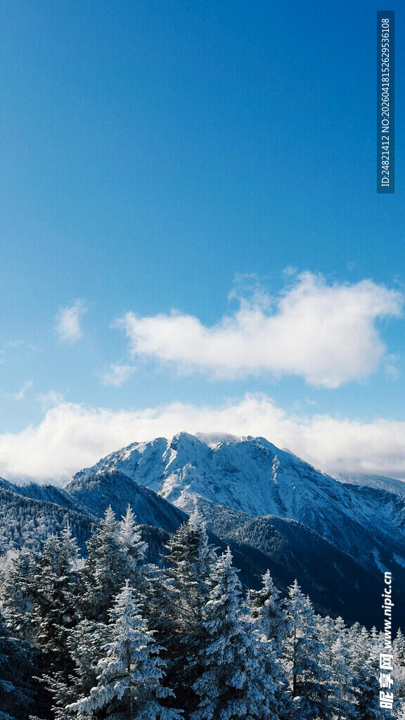 雪覆山林