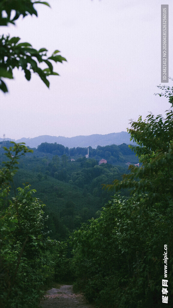 山间小径