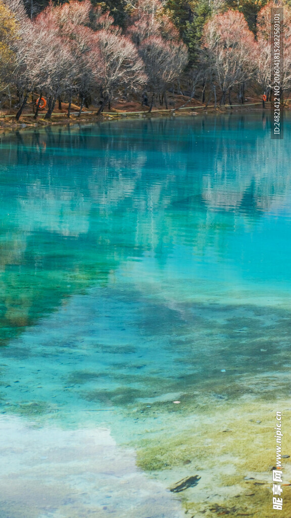清澈蓝湖与岸边绿植美景