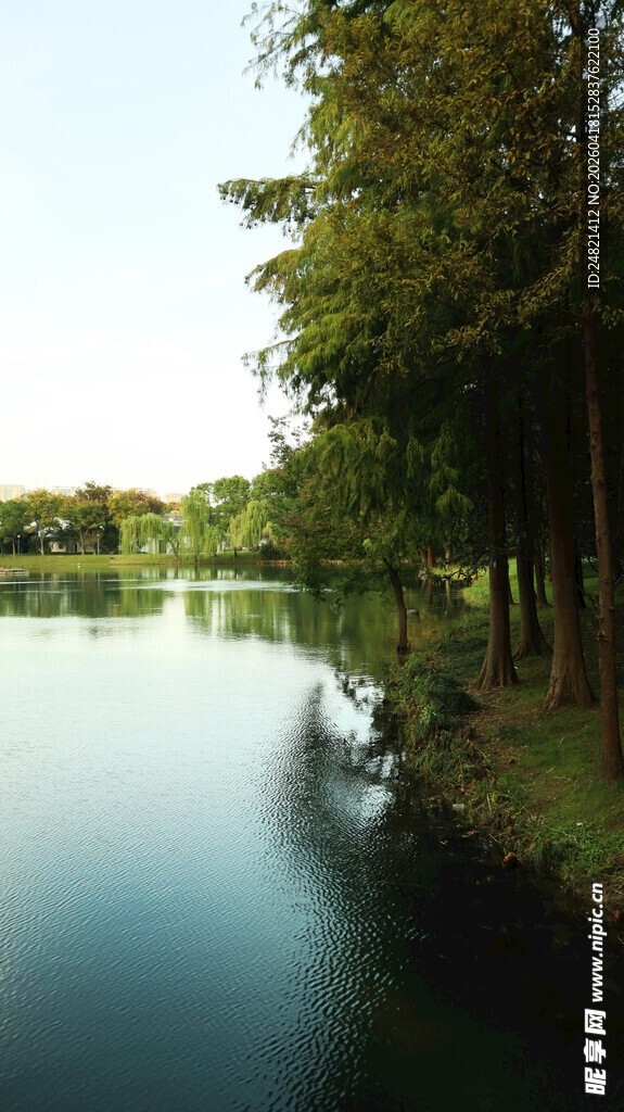 宁静湖畔绿树成荫美景