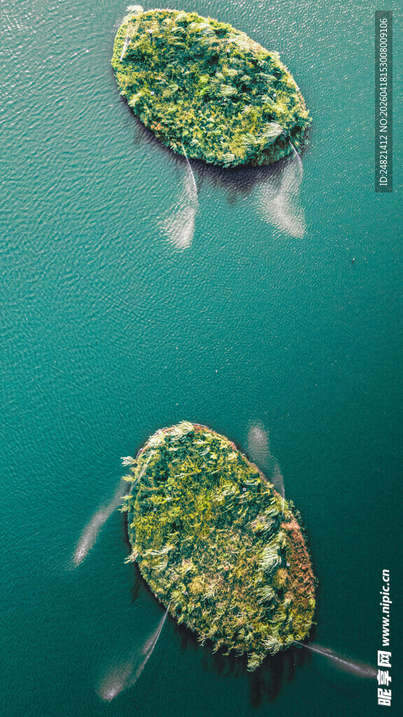 海上绿岛景观