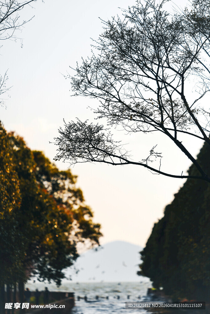 湖畔树木映黄昏景致