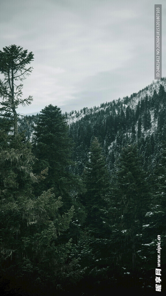 山林景色