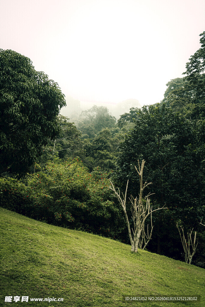 山林草地间的清新景致