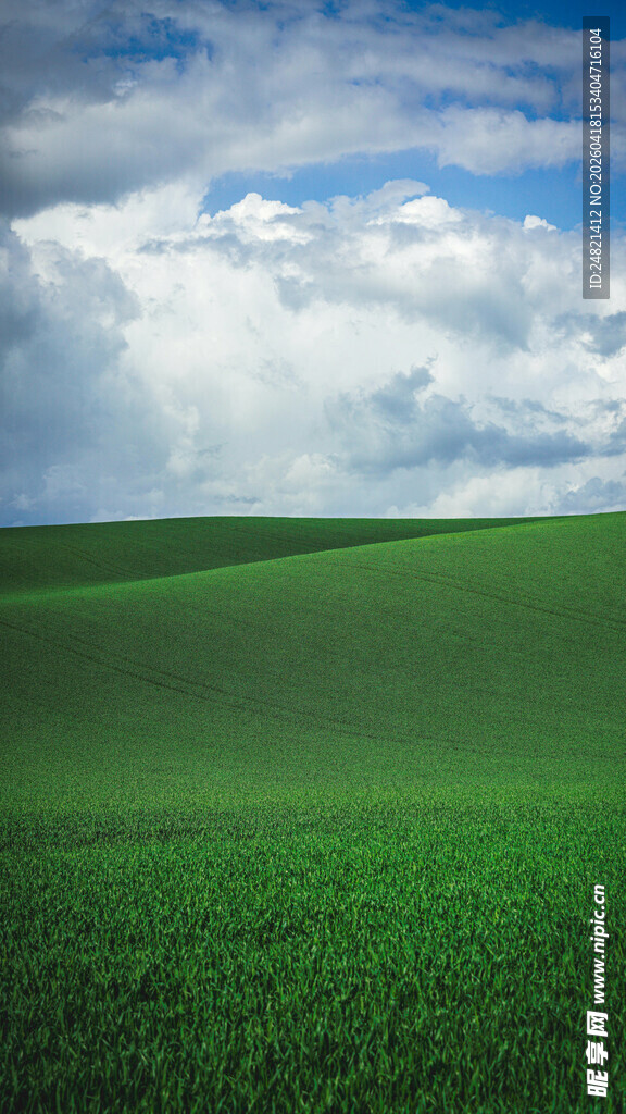 广袤绿野上的蓝天白云