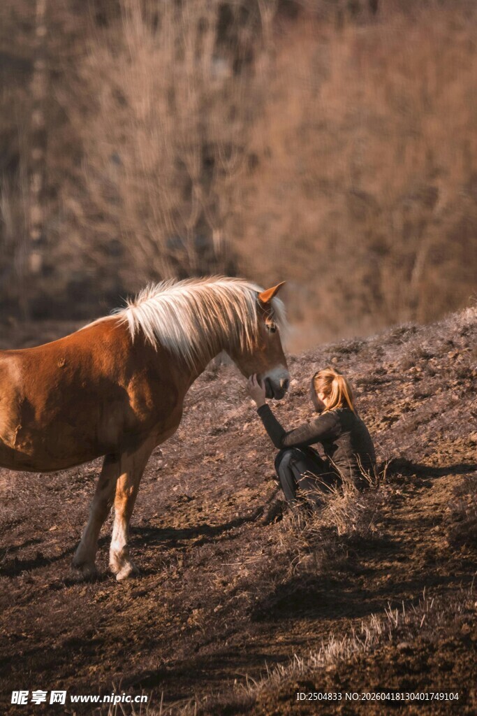 马与狗在野外亲昵互动