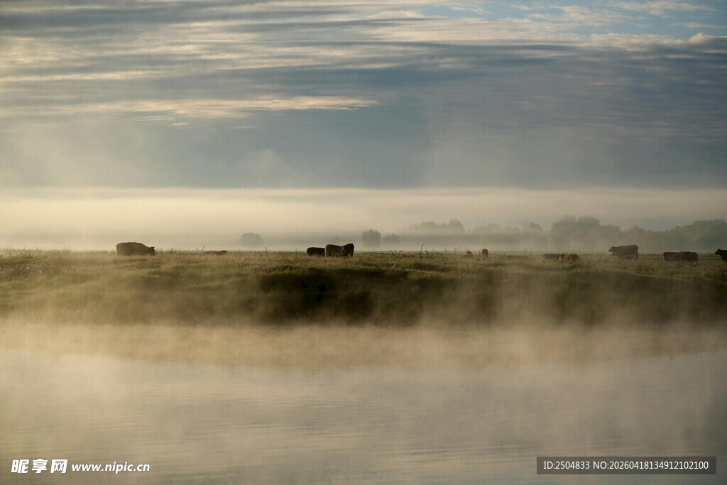 草原晨雾中的朦胧景象