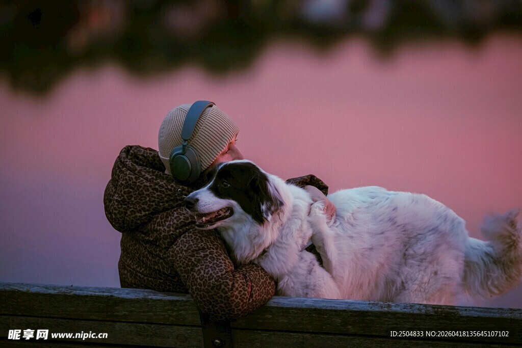 人与狗的温馨黄昏时刻