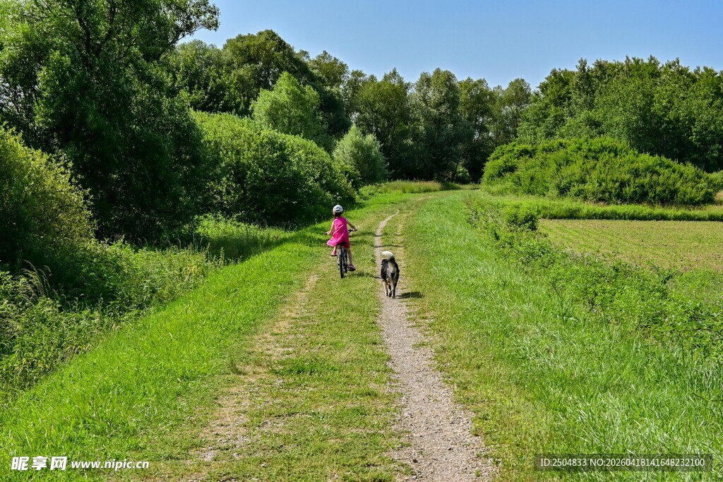 乡村小道上的亲子遛狗时光