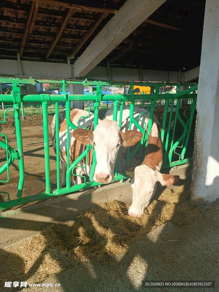 工人安装绿色金属围栏