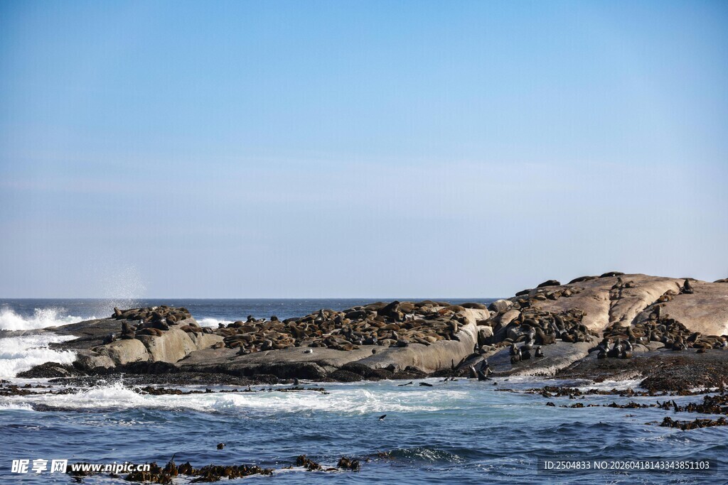 海边礁石与翻涌海浪