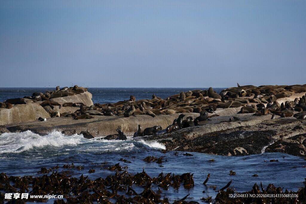 海岸边汹涌海浪与礁石
