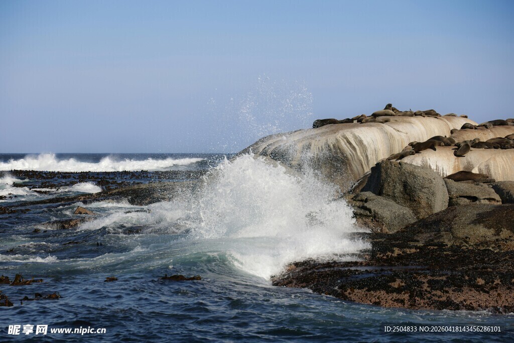 海浪拍打礁石的壮丽景象