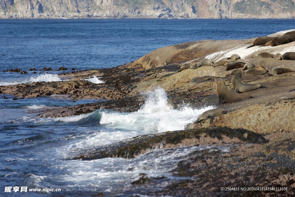 海边礁石上的浪花景象