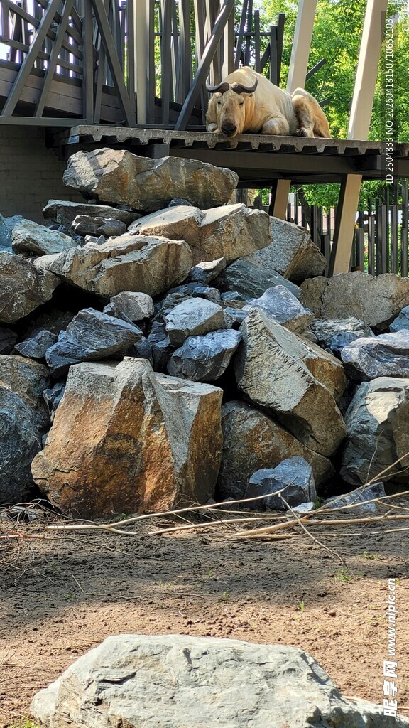 户外堆叠的自然景观石块