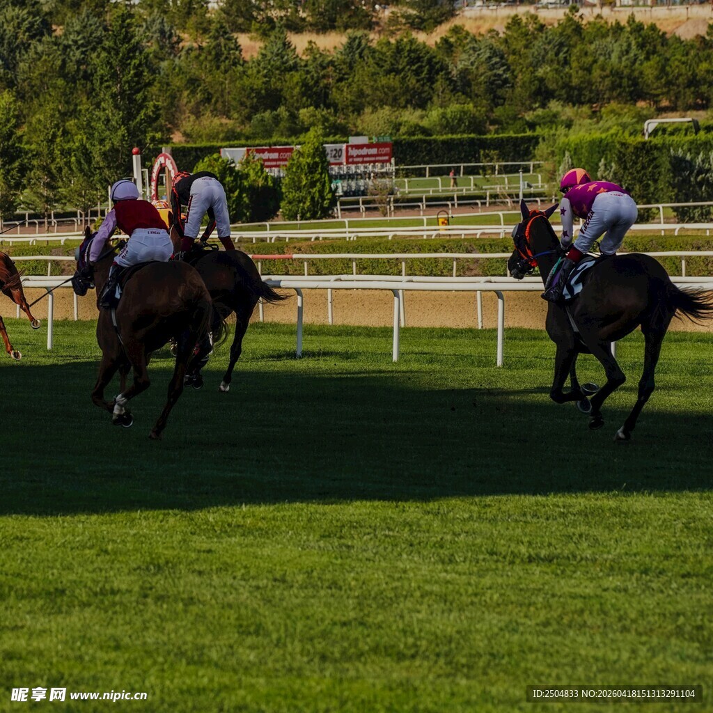 赛马场上骑手激烈角逐