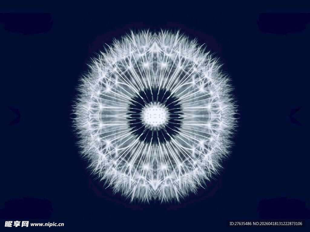 梦幻白色蒲公英图案