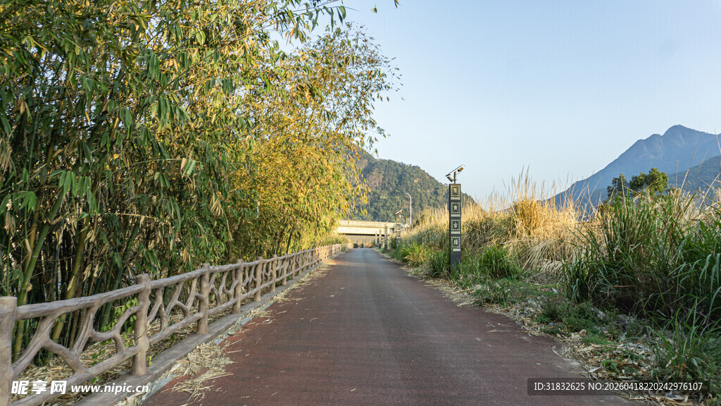 乡间竹林旁的宁静小路