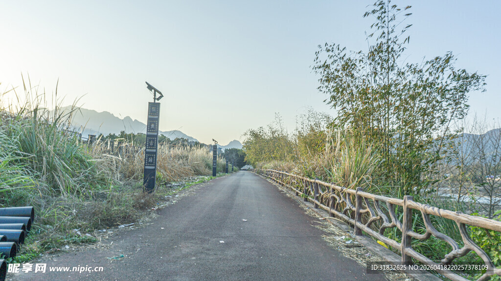郊外宁静小路风景