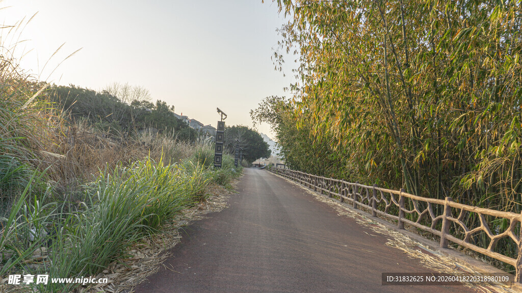 乡间小路 绿意盎然的旅程