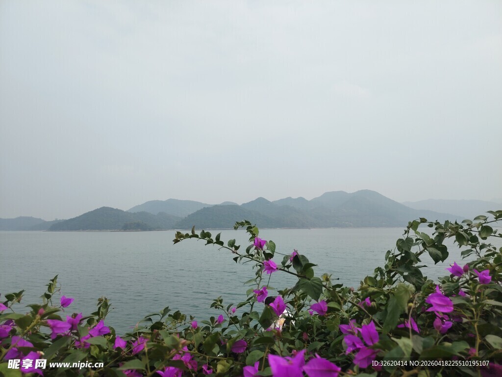 湖畔繁花伴远山