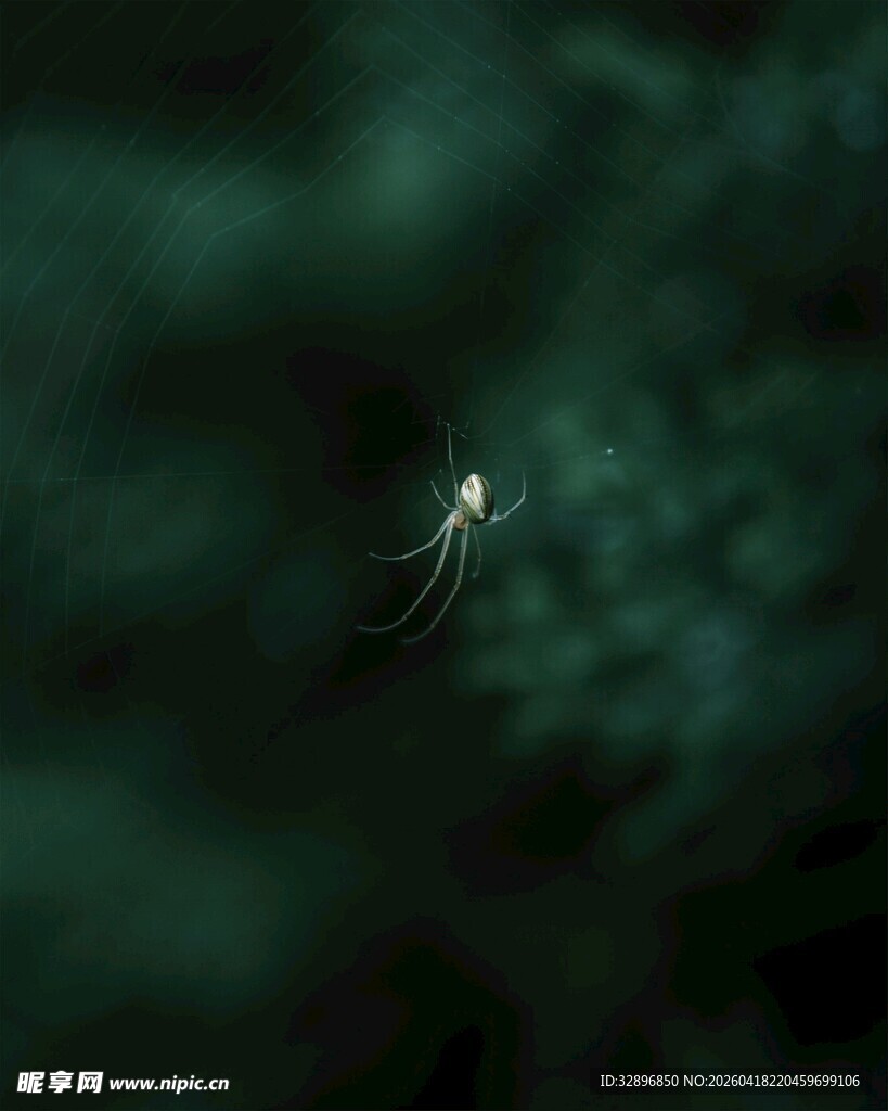 黑暗中发光的神秘小昆虫