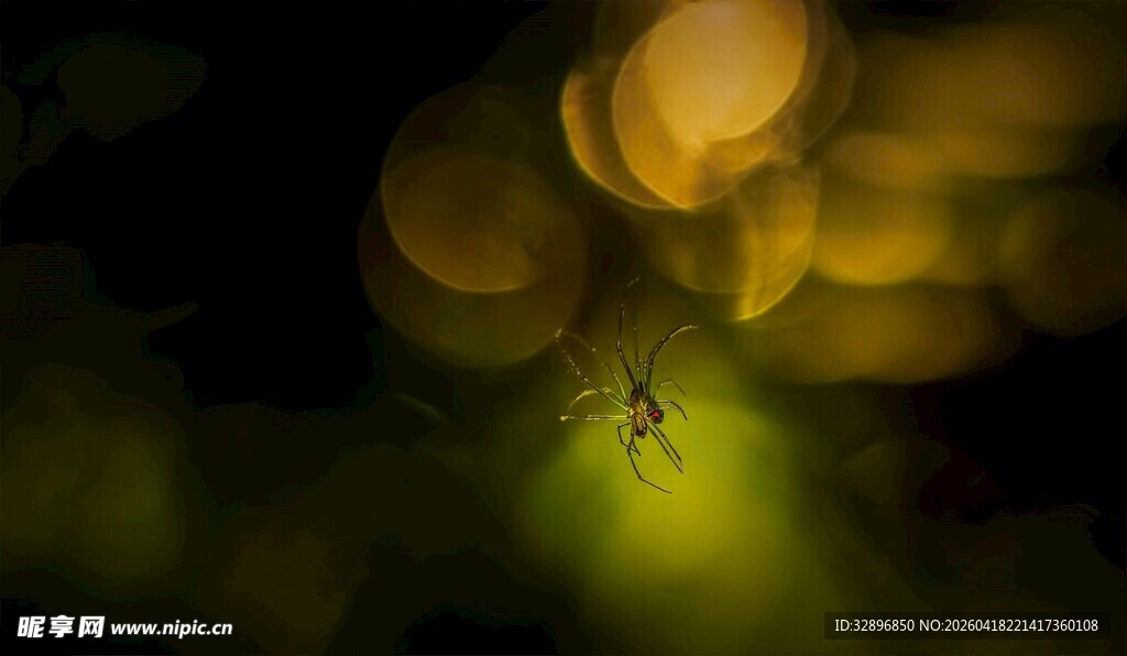 夜中独行者的光影之路