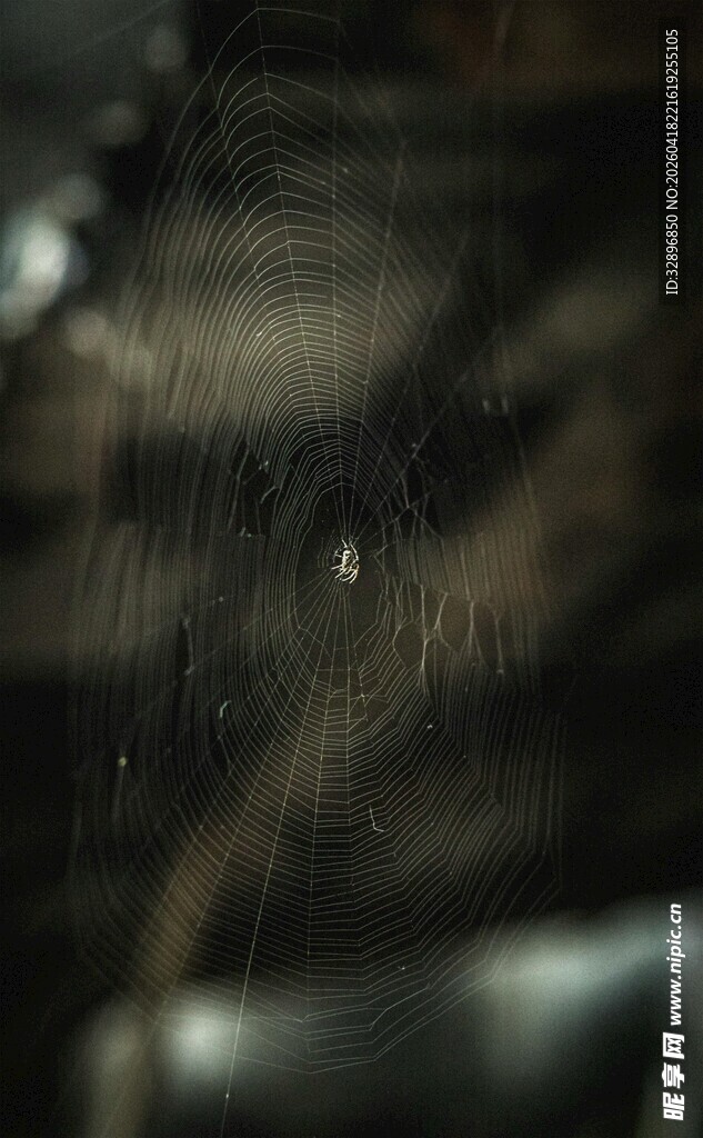 模糊的深色纹理场景