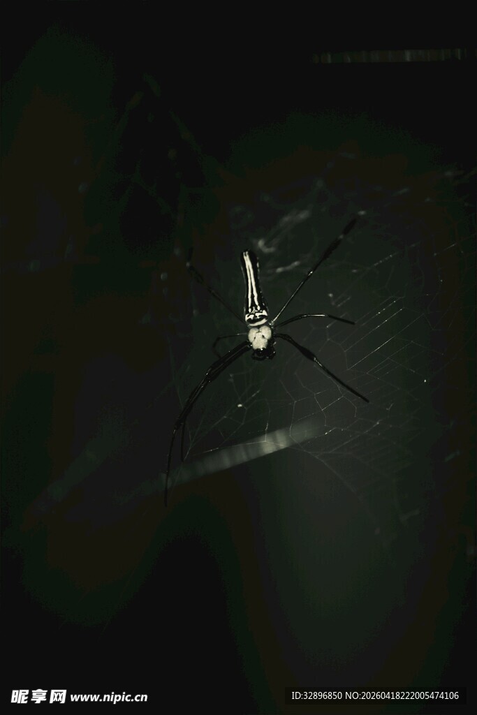 黑暗中的孤独小船