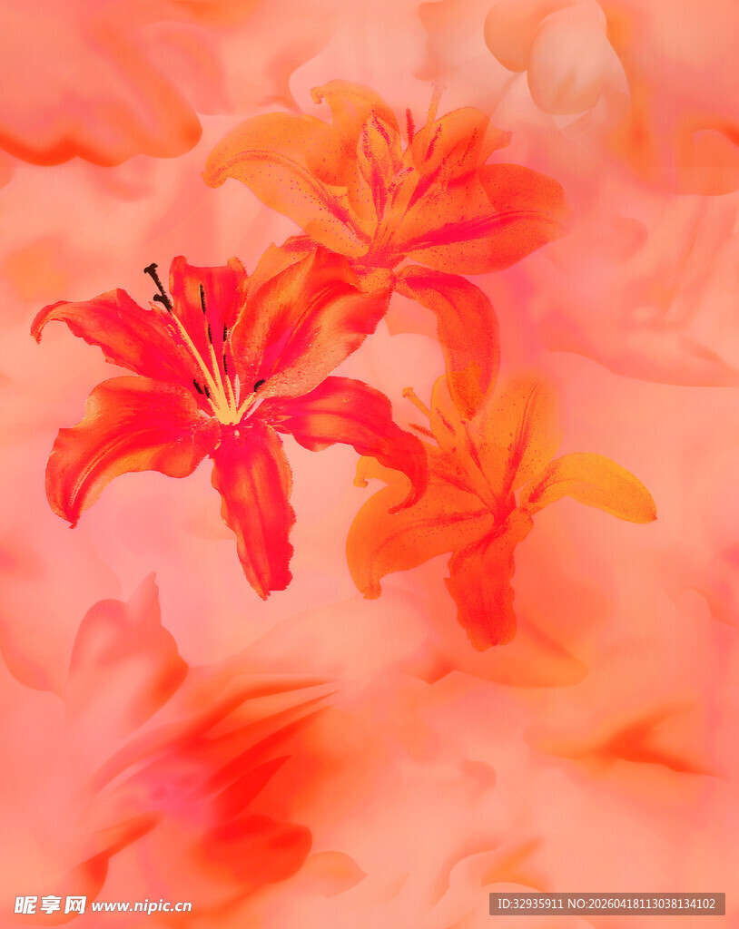 橙红色调美丽绽放的花朵