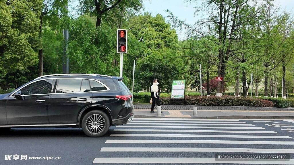 汽车于斑马线前礼让行人