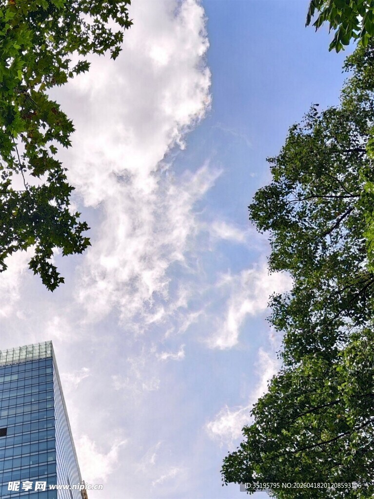 高楼绿树间的晴朗天空