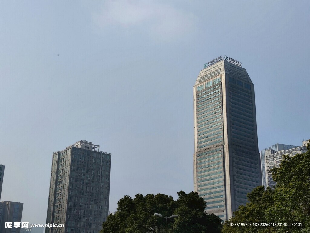 城市高楼与绿树景观