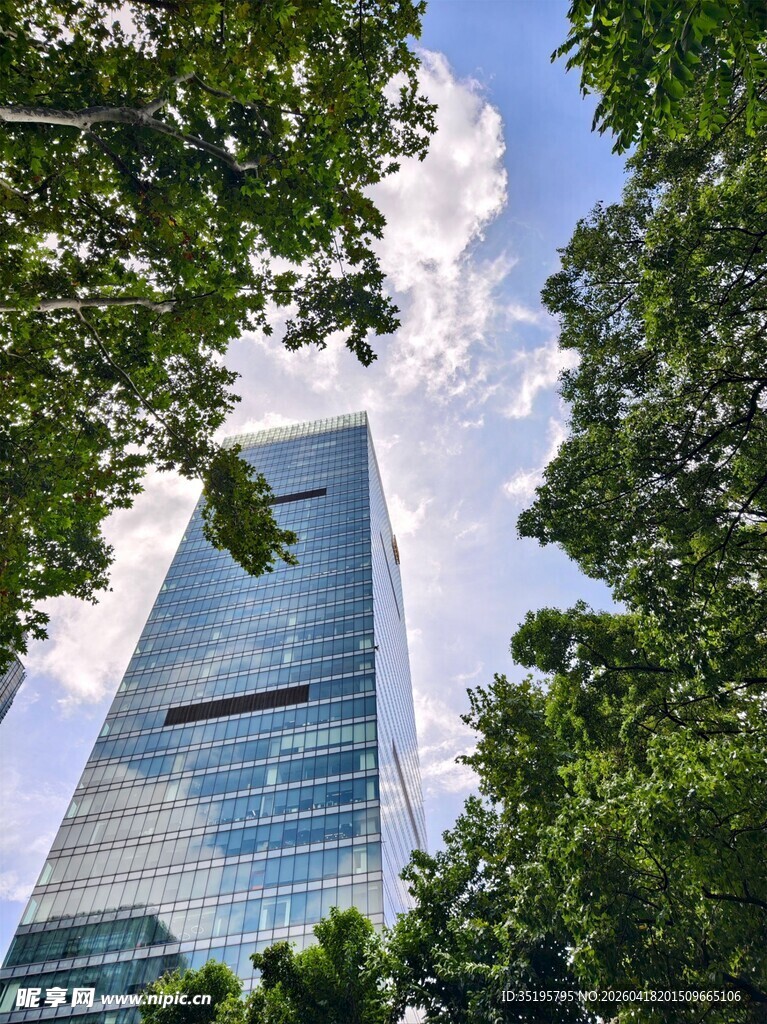 摩天大楼与葱郁绿树相映