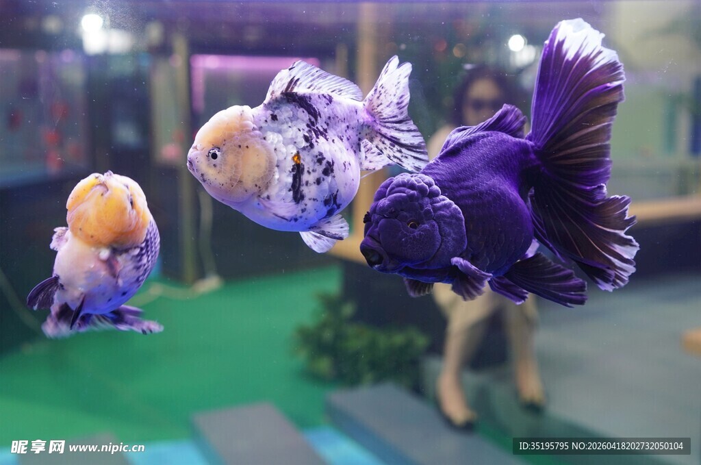 梦幻紫色系动漫角色展示