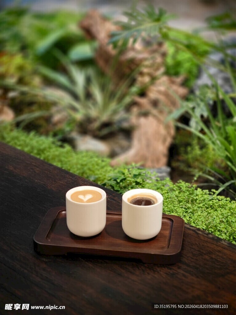 茶韵悠然植相伴杯中景