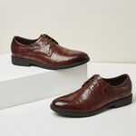 棕色系带皮鞋展示