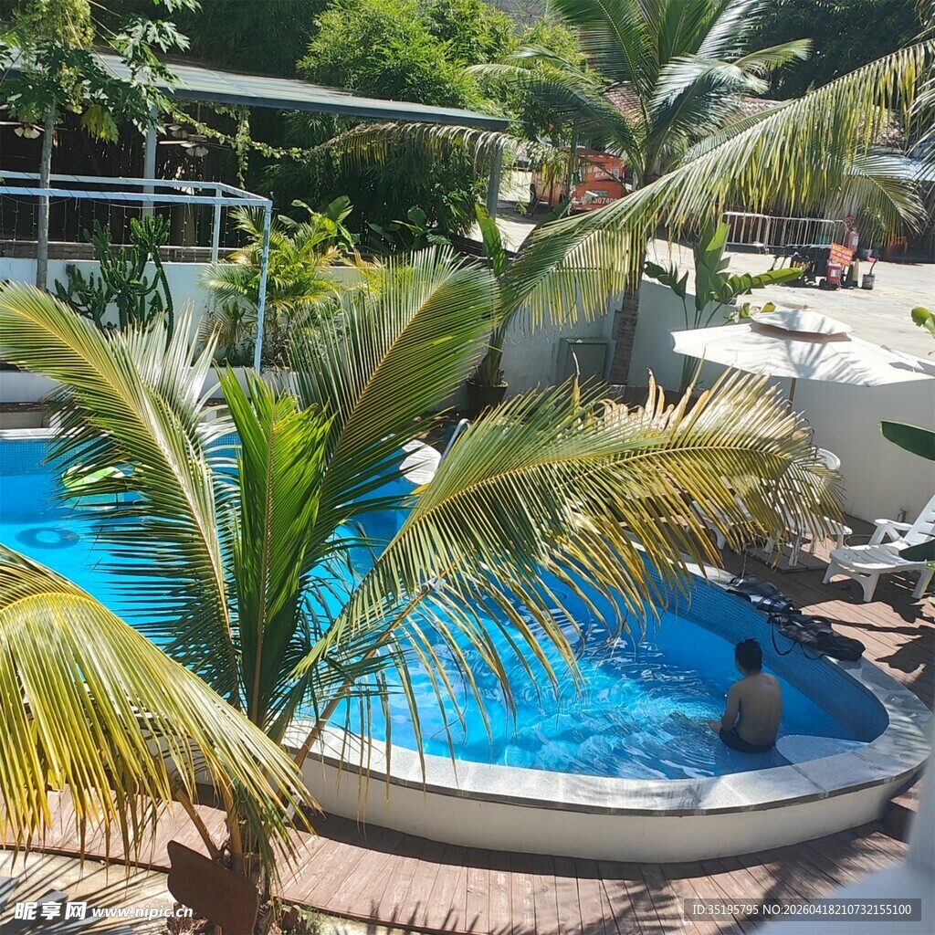 热带风情泳池度假场景