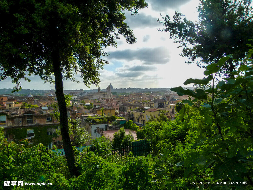 透过绿树俯瞰城市景观