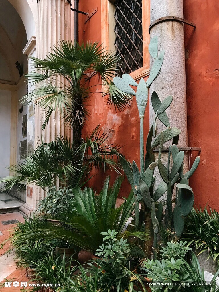 庭院绿植环绕的红墙一角