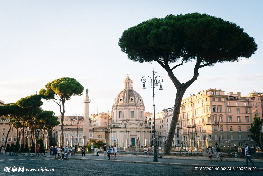 罗马城市景观中的独特树木